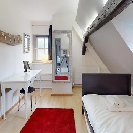 La Grande Ourse Apartman Colmar